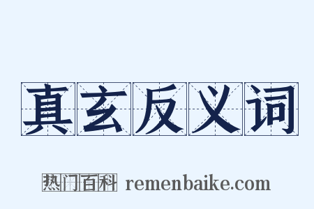 真玄反义词是什么意思的图片